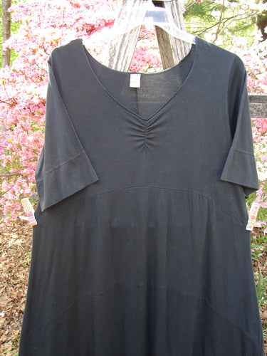 Barclay Gather Sectional Banded Petal Dress Unpainted Black Size 1 draped on a trellis, highlighting its V-neck, gathered front, and unique hemline, embodying Bluefishfinder.com's vintage, artistic style.