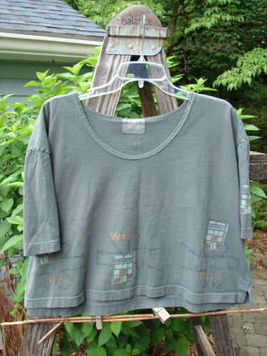 2000 City Side Crop Tee Top Go West Park Size 0 showcased on a hanger, featuring a wide swingy shape, big paint sleeve accents, softly rolled neckline, and vented sides.