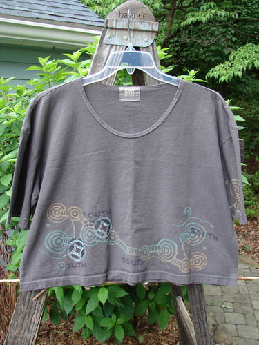 2000 City Side Crop Tee Top Go South Iron Size 1 displayed on a hanger, showcasing wide swingy shape, vented sides, softly rolled neckline, and big paint sleeve accents.