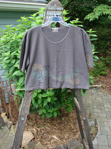 2000 City Side Crop Tee Top Go South Iron Size 1 displayed on a swing, showcasing its wide, swingy shape, big paint sleeve accents, and softly rolled neckline.