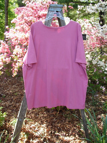 Barclay NWT Short Sleeved Studio Tee Single Cherry Blossom Alegra Size 3, draped on a ladder in a garden, showcasing its wider neckline and boxy shape amidst blooming flowers.