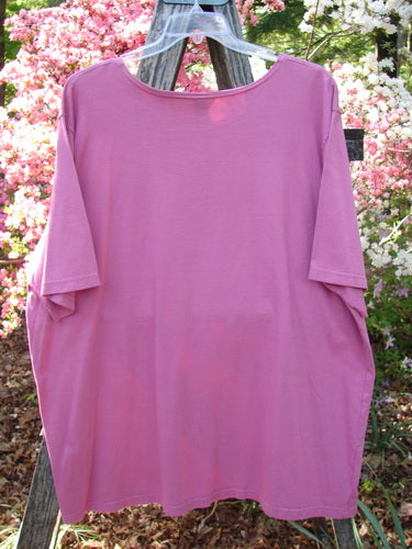 Barclay NWT Short Sleeved Studio Tee Single Cherry Blossom Alegra Size 3, displayed on a ladder, features an oversized, boxy shape with a flattened neckline and generous sleeves, embodying organic cotton comfort and cheerful design.