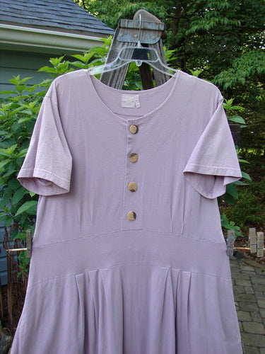 Lulu's 2000 Hyacinth Dress with leaf theme, drop waistline, pleated darts, and inseam pockets, displayed on a wooden swinger stand. Perfect condition, organic cotton.