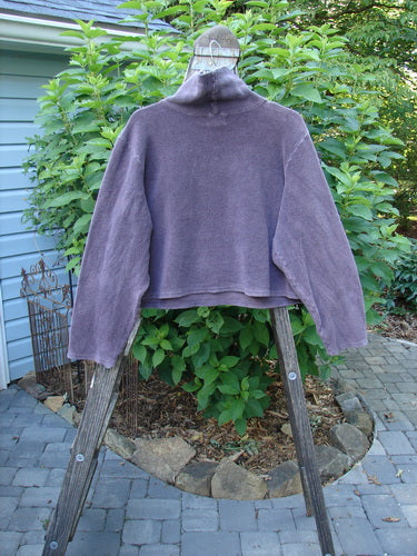 2000 PMU Celtic Moss Big Collar Top Aubergine Size 2 displayed on a wooden stand, featuring a plush dense fleecy fabric with a full stand-up turtleneck and signature patches.