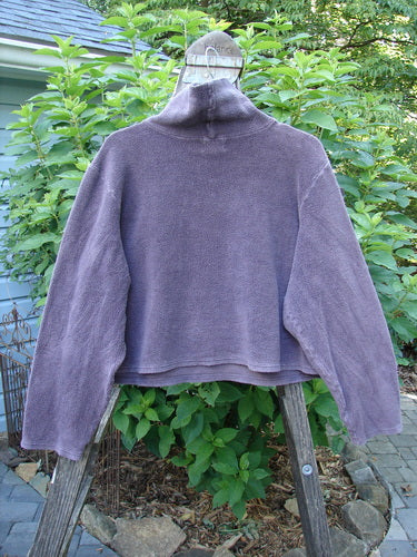 2000 PMU Celtic Moss Big Collar Top Aubergine Size 2 displayed on a wooden stand, featuring a full stand-up collar, front leaf patch, and Blue Fish signature patch on the lower back corner.