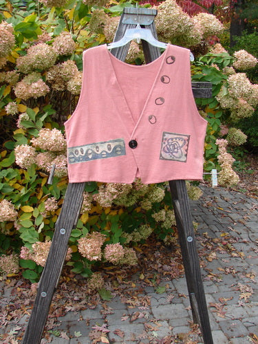 1995 Reprocessed Jazz Vest Greyhound Papaya Size 2 displayed on a wooden ladder, showcasing its unique greyhound-themed design, straight back hemline, and deep V-neck with a single button closure.