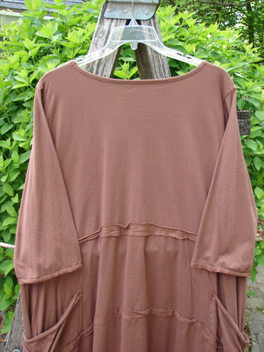 Barclay Raw Seam Vector Tunic Dress Single Tree Redwood Size 2 features a scooped neckline, raw edges, and asymmetric hem. Visible exterior drop pockets and horizontal seam details enhance its A-line organic cotton design.