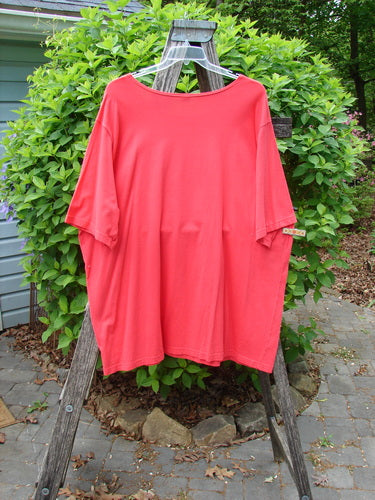 Barclay Short Sleeved Studio Tee Birdy Branch Pomegranate Size 3 displayed on a wooden ladder outdoors, highlighting its relaxed, generous shape and artistic birdy branch theme against a natural backdrop.