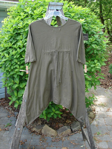 Barclay Quad Pocket Tie Back Tunic Dress, Simple Floral Mushroom Size 0, with three-quarter sleeves, asymmetrical hem, and waist tie, hangs outdoors on a hanger, showcasing its elegant design.