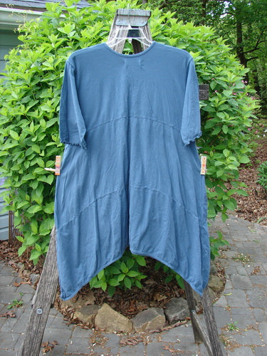 Barclay Perfect Day Pocket Tunic Dress Sweet Pea Echo Blue Size 0 displayed on a wooden trellis. Features a rounded V-neckline, asymmetrical hem, mid-length sleeves, oversized pockets, and decorative lettuce edges.