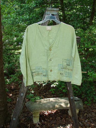 2000 Cross Dye Linen East Side Jacket Latitude Celery Size 0 displayed on a ladder, showcasing its square boxy shape, unique ceramic buttons, and vented sides.