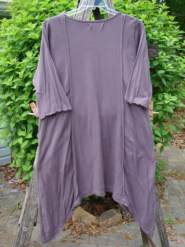 Barclay Wildflower Tunic Floral Sprig Fig Size 0 hangs on a plastic hanger, showcasing its three-quarter sleeves, asymmetrical hem, and scooped neckline. The tunic features raw edges and exterior drop pockets.