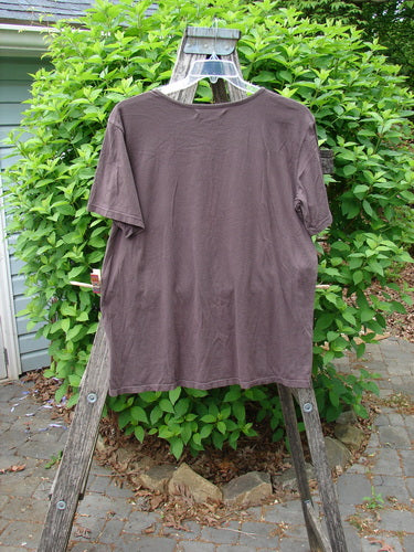 Barclay Short Sleeved Fiona Straight Tee Modern Vase Redwood Size 0, draped on a wooden ladder outside, showcases a rounded neckline and wide sleeves, epitomizing Bluefishfinder.com's vintage-inspired, creatively expressive style.