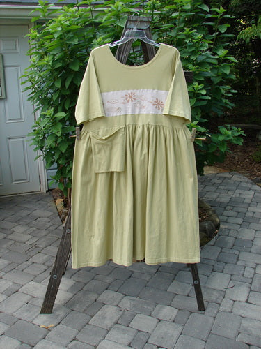 Barclay PMU Patched Flower Garden Dress Citron Size 1 displayed on a clothes rack, showcasing its scooped neckline, drop straight waist seam, and front exterior pocket with fish school patches.