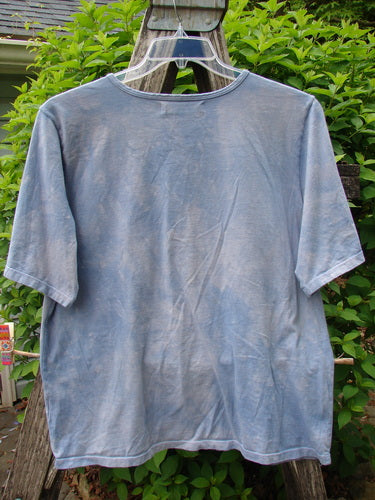 Barclay Fiona Crop Straight Tee in Victorian Mottled Bluestone, size 0, displayed on a hanger over a wooden ladder, featuring wide sleeves and a rounded flattened neckline.