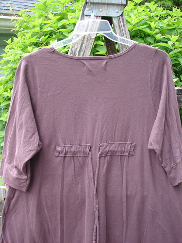 Barclay Three Quarter Sleeved Happiness Tunic Primitive Pony Fig Size 0 hanging on a wooden ladder. Features include a rounded neckline, three-quarter sleeves, and a drawcord back with unique pony theme detailing.