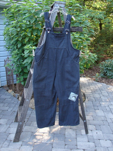 2001 Patched Twill Anisette Overall Pant Jumper Licorice Size 1 displayed on a ladder, showcasing its unique features like the large front painted bib pocket, sectional knee panels, and metal button closures.