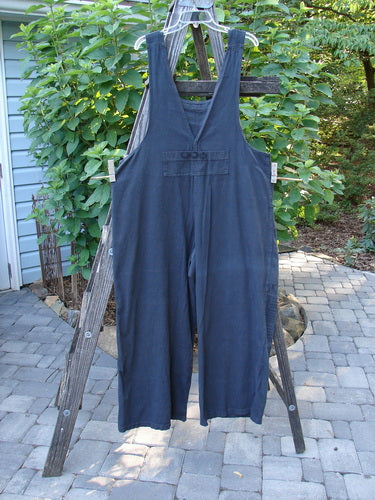 2001 Patched Twill Anisette Overall Pant Jumper Licorice Size 1 hanging on a clothesline, showcasing front bib pocket and sectional knee panels.