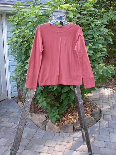 Barclay Cotton Lycra Long Sleeved Layering Top Unpainted Brick Size 1 displayed on a wooden hanger, showcasing its rounded neckline and longer sleeves, perfect for mixing and matching in fall collections.