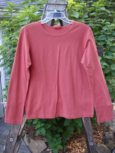 Barclay Cotton Lycra Long Sleeved Layering Top Unpainted Brick Size 1 displayed on a hanger, featuring a rounded neckline and longer sleeves.