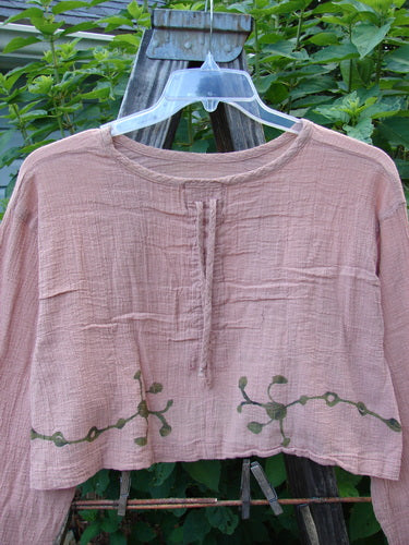 Barclay Limited Edition Gauze Waterfall Crop Top Vine Blush Size 1 displayed on a hanger, featuring a rounded neckline with center drawcord, wide sleeves, and a widening A-line hem.