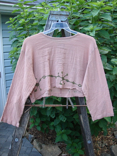 Barclay Limited Edition Gauze Waterfall Crop Top Vine Blush Size 1 displayed on a hanger, showcasing its rounded neckline, center drawcord, A-line hem, wide sleeves, and drop shoulder.