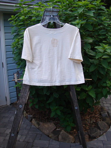 2001 Button Crop Top Pawn Natural Size 0, displayed on a hanger outdoors. Features include a boxy style, vented hemline, wide sleeves, button details, and a slight front stain.