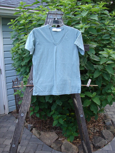 1996 Cotton Lycra Short Sleeved Layering Tee Unpainted Petal Size 2 displayed on a wooden ladder, showcasing its V-neckline and shorter sleeves, embodying the vintage Blue Fish creativity and style.
