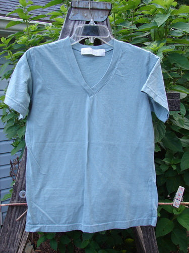 1996 Cotton Lycra Short Sleeved Layering Tee Unpainted Petal Size 2, featuring a V-neck and shorter sleeves, displayed on a hanger against a natural backdrop, exemplifying Bluefishfinder.com's vintage aesthetic.
