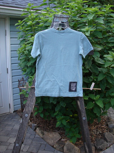 1996 Cotton Lycra Short Sleeved Layering Tee Unpainted Petal Size 2 displayed on a hanger, featuring a V-shaped neckline, shorter sleeves, and signature Blue Fish patch.