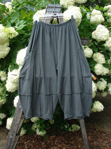 Bluefishfinder.com Barclay Crop 2 Pocket Barrel Pant in unpainted steel night, size 1, shown as a loose barrel-leg pant with two side pockets, a gathered elastic waist, and a soft draped finish. The dark steel-gray fabric hangs from a hanger, framed by bright white flowers and green foliage.