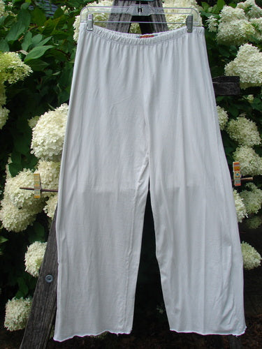 Barclay Raw Edge Wide Leg Pocketless Pant in unpainted natural, size 1, shown as loose white trousers with a wide-leg cut, raw hems, and a smooth elastic waistband. The lightweight fabric hangs straight from a clear hanger, framed by dark wood and white hydrangeas.