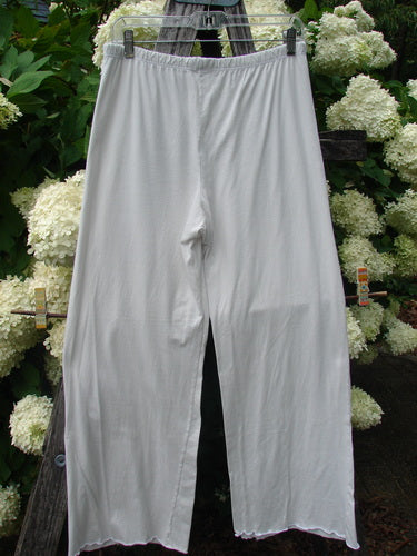 Barclay Raw Edge Wide Leg Pocketless Pant in unpainted natural, size 1, hangs from a hanger in a soft off-white tone. The wide-leg shape falls in smooth, lightweight fabric with raw hems and no visible pockets, set against leafy greenery and pale blossoms.