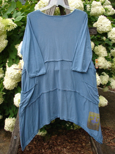 Bluefishfinder.com Barclay Raw Seam Vector Tunic Dress Daisy Folly Echo Blue Size 1 in soft blue fabric, with raw seam detailing, a relaxed long-sleeve tunic shape, and an asymmetrical hem. The dress hangs centered on a wooden ladder against white hydrangeas and green foliage.