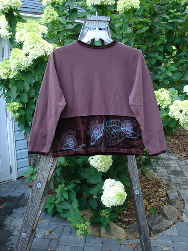 1996 Velvet Arrowhead Top Spicewood Altered Size 1 displayed on a hanger with long sleeves, V neckline, and velvet accents, showcasing its shorter, straighter shape with dropped shoulders and painted waistline.