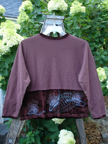 1996 Velvet Arrowhead Top Spicewood Altered Size 1 on a clothes rack, showcasing its long sleeves, V-neckline with velvet accents, and shorter, straighter shape.