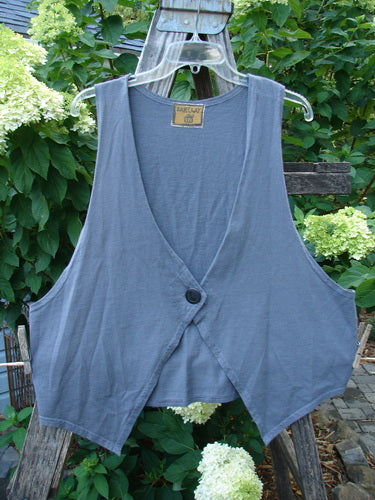 Barclay Calligrapher's Crop Vest Stone Grey Unpainted Size 1 displayed on a hanger, showcasing a deep V neckline, single button closure, dramatic front points, and deep arm openings.