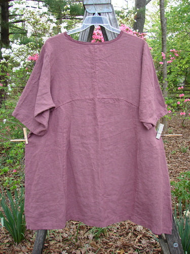 Barclay NWT Heavy Linen Oversized Zen Pocket Dress Centered Rose Canyon Size 0 hanging on a clothesline, showcasing its A-line shape, dual exterior drop pockets, and sectional panels.