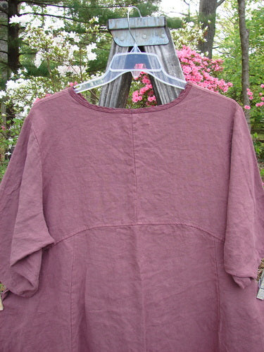 Barclay NWT Heavy Linen Oversized Zen Pocket Dress Centered Rose Canyon Size 0 displayed on a hanger, highlighting its A-line shape, dual exterior drop pockets, and sectional panels.