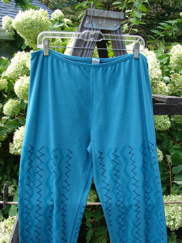 Barclay Cotton Lycra Bally Layering Pant Legging Continuous Criss Cross Aqua Size 2 hanging on a clothesline, showcasing its full elastic waistband and slightly narrowing lower leg design.