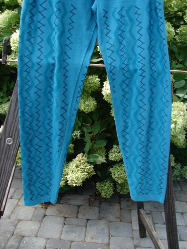 Barclay Cotton Lycra Bally Layering Pant Legging Continuous Criss Cross Aqua Size 2 displayed on a rack, showcasing a full elastic waistband and slightly narrowing lower leg design.