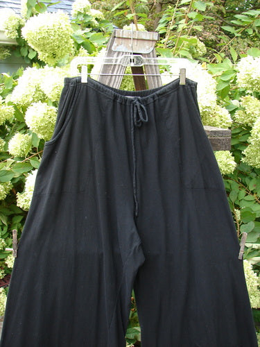 Barclay Drawcord Plane Wave Pant Unpainted True Black Size 2 hanging on a clothesline, showcasing its full drawcord waistline and paneled, pinched lowers, made from medium weight organic cotton.