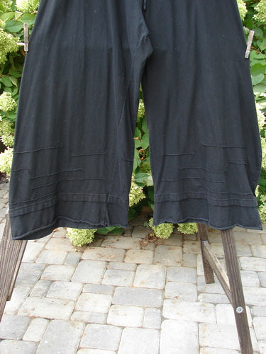 Barclay Drawcord Plane Wave Pant Unpainted True Black Size 2, displayed hanging against a textured backdrop, features a full drawcord waistline and unique paneled lower design, showcasing its flow and structured fit.