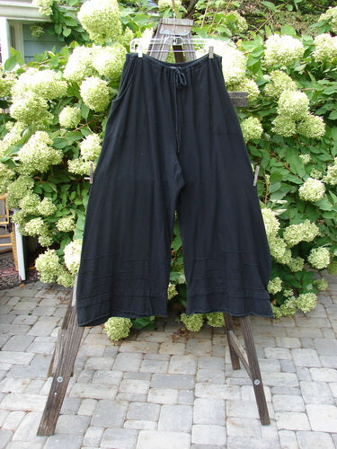 Barclay Drawcord Plane Wave Pant Unpainted True Black Size 2 displayed on a clothes rack, showcasing its distinctive drawcord waistline and paneled lower design, highlighting its unique drape and flowing silhouette.
