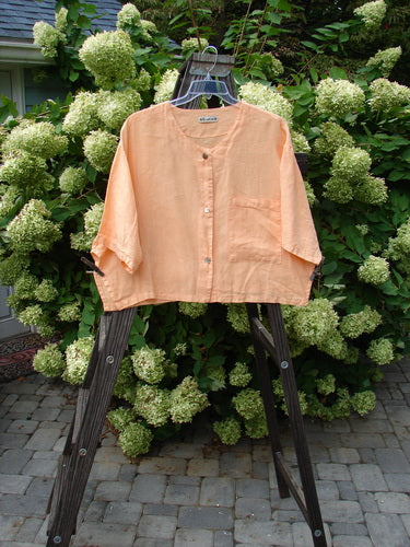 Barclay Linen Vented Crop Pocket Top Unpainted Sherbet Size 2 displayed on a wire hanger outdoors, showcasing its wide crop shape, V neckline, oversized breast pocket, and three front buttons.