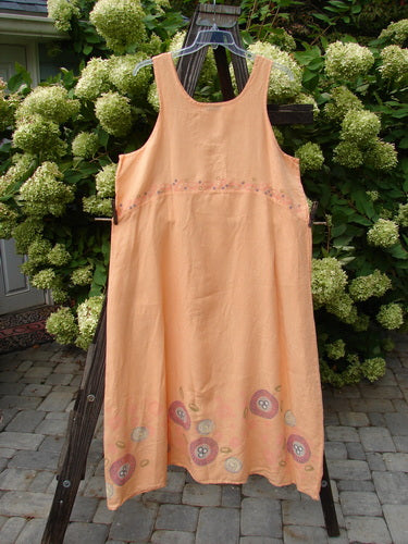 Barclay Linen A Line Shift Dress Bubbles Sherbet Size 2 hanging on a clothesline, showcasing a rounded neckline, curved empire waist seam, and a fully sweeping lower skirt in a bubble theme.