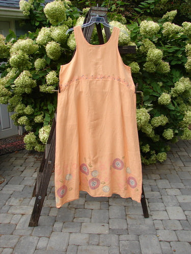 Barclay Linen A Line Shift Dress Bubbles Sherbet Size 2, hanging on a ladder outdoors, showcasing a rounded neckline, downward curved empire waist seam, and fully sweeping lower skirt.