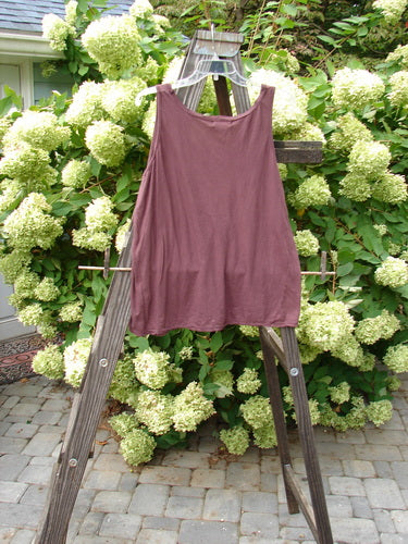 Barclay NWT Batiste Decora Tiny Tank Unpainted Bordeaux Size 2 displayed on a wooden ladder, showcasing its front vertical neckline tie and gather with a diagonal insert.