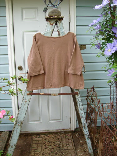 A brown shirt on a ladder, part of the Barclay Center Seam Playful Crop Tee Top collection in Nutmeg. Made from organic cotton, it features three-quarter length sleeves and a wider boatneck neckline. The shirt has a sweet A-line shape with a center vertical seam on both the front and back. Unpainted for easy layering. Bust 50, Waist 52, Hips 54, Sweep 58, Length 24 inches.