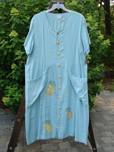 1999 Maypole Dress Pineapple Spring Size 2: Blue dress adorned with a vibrant pineapple design, rounded V neckline, large buttons, drawstring back, front pockets, and a long, straight silhouette from BlueFishFinder.com.